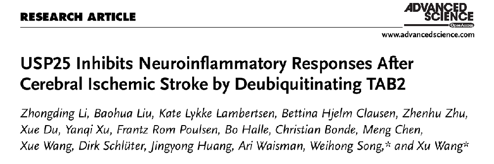 Academician Weihong Song's team identifies USP25 as key regulator of ischemic stroke injury