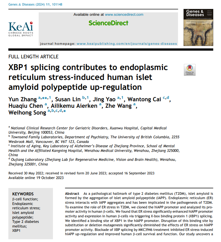 Genes Diseases Xbp Splicing Contributes To Endoplasmic